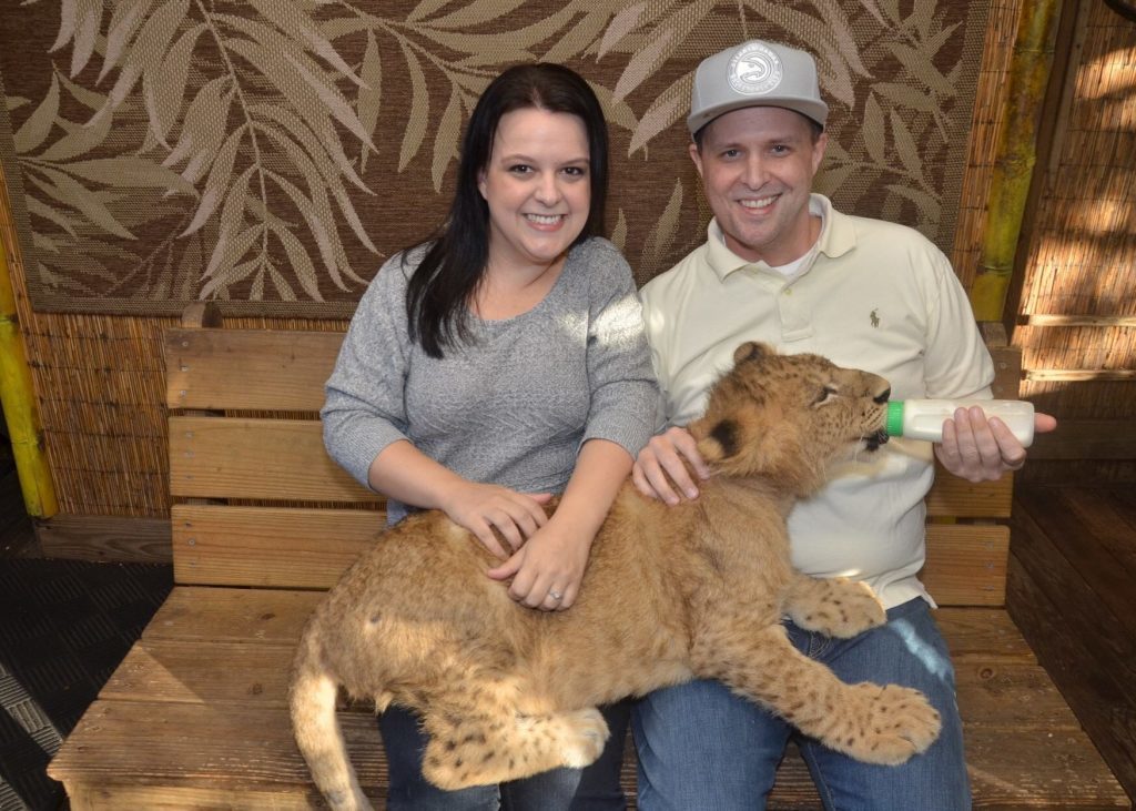 baby liger at Preservation Station