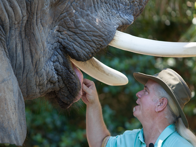 Doc Antle and Bubbles the Elephant