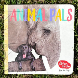 Animal Pals Board Book