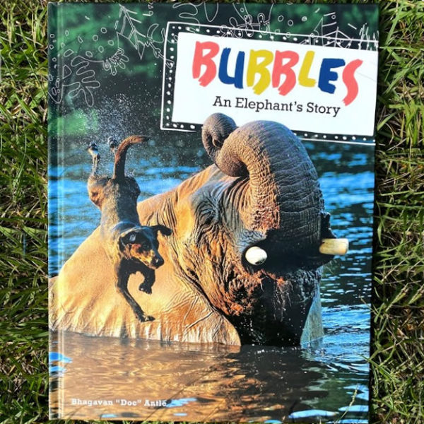 Bubbles, An Elephants Story